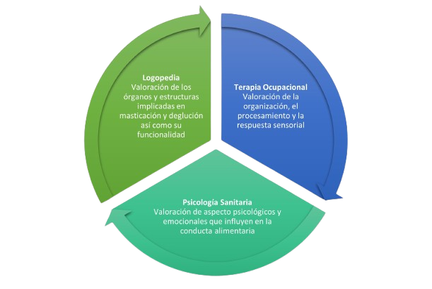 alimentacion_img2-removebg-preview