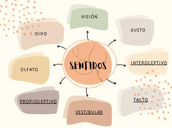 integracion_sensorial_centroada